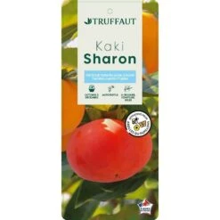 Kaki "Sharon" 1/2T Pot 15L -Magasin De Graines De Plantes 952753 003