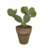Opuntia Microdasys Et Son Cache-pot Marron - H40cm, ø17cm - Plante D'intérieur