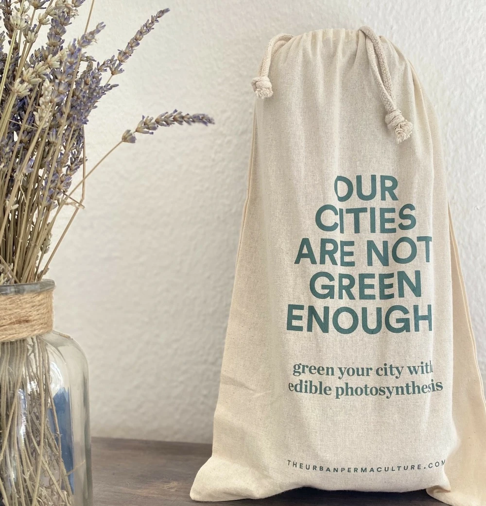 Kit Prêt à Planter - 3 Feuilles 5 Kit Prêt à Planter - 3 Feuilles – Image 5